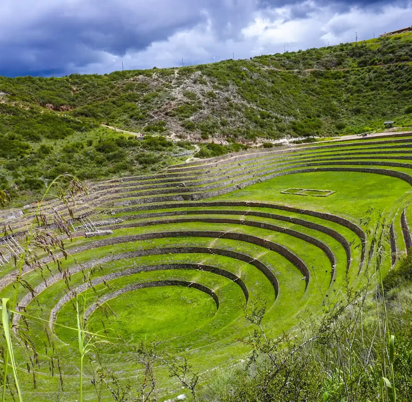 maras