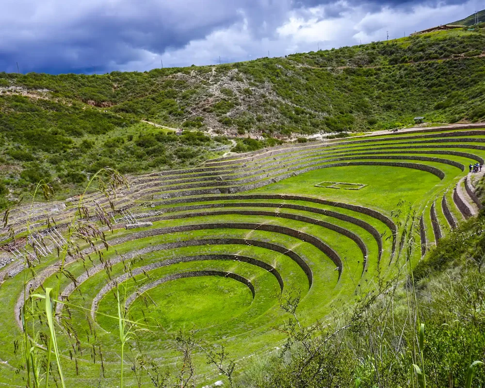 maras